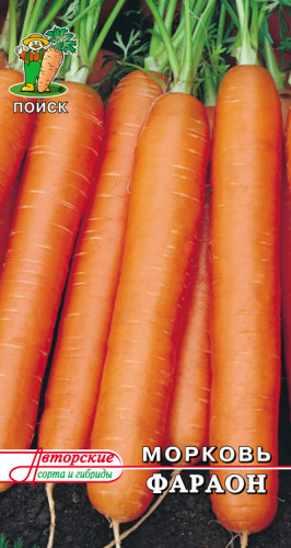 Морковь Фараон